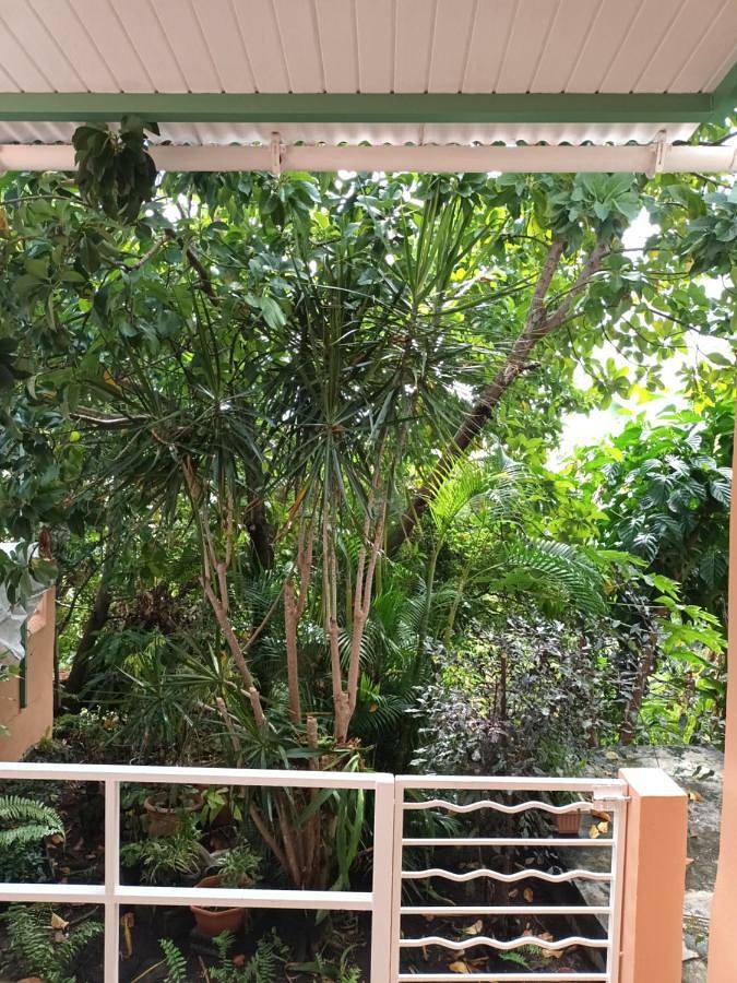 Location de vacances pour 2 personnes, avec balcon et vue à Baillif - 3