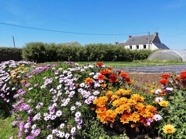 Gîte für 2 Personen, mit Terrasse in der Bretagne - 3