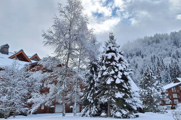Ganze Wohnung, Studio near lifts/wifi/smart TV/parking in Les Contamines-Montjoie, Pays du Mont-Blanc