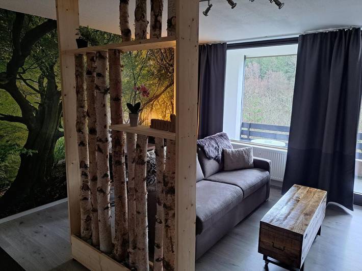 Ferienhaus für 2 Personen, mit Balkon und Balkon/Terrasse sowie Sauna in Winterberg - 3