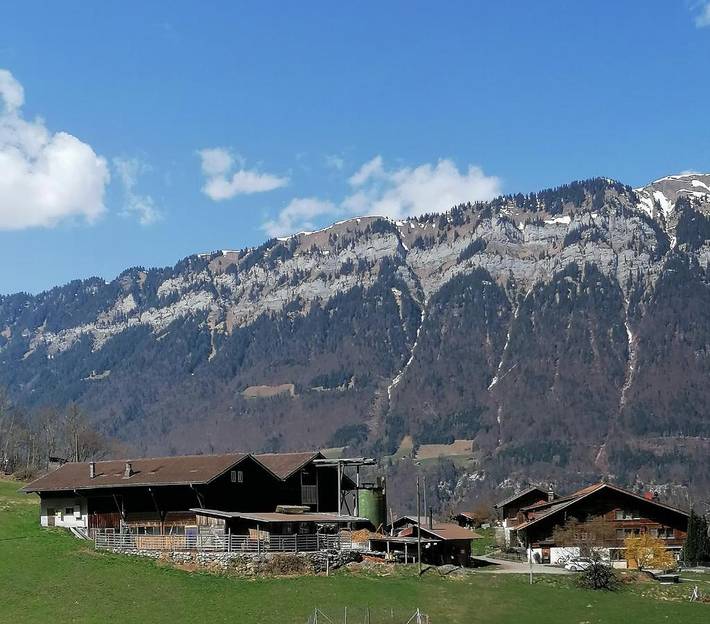 Ferienwohnung für 4 Personen, mit Terrasse und Ausblick in Iseltwald
