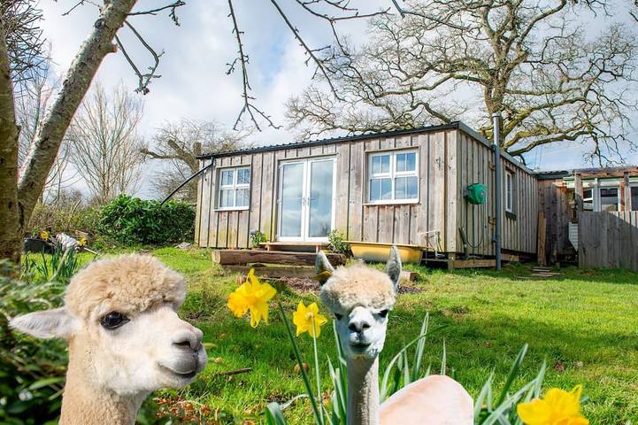Ferienwohnung für 8 Personen, mit Garten