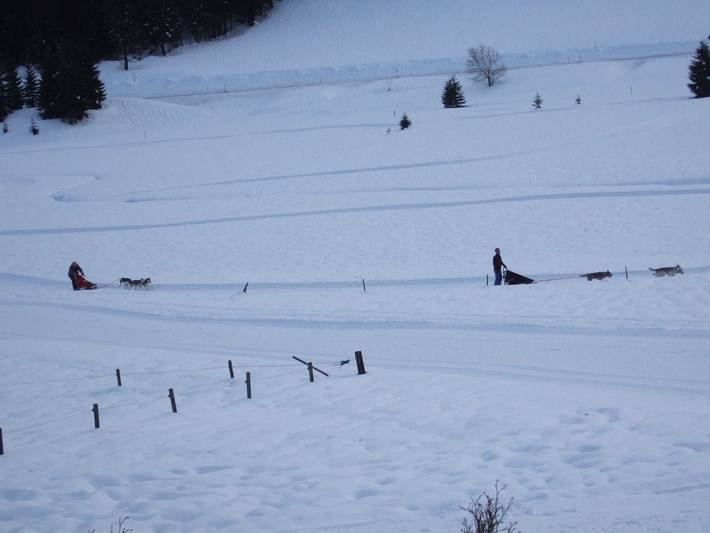 Ferienwohnung für 5 Personen, mit Balkon und Garten, mit Haustier in Nesselwängle - 4