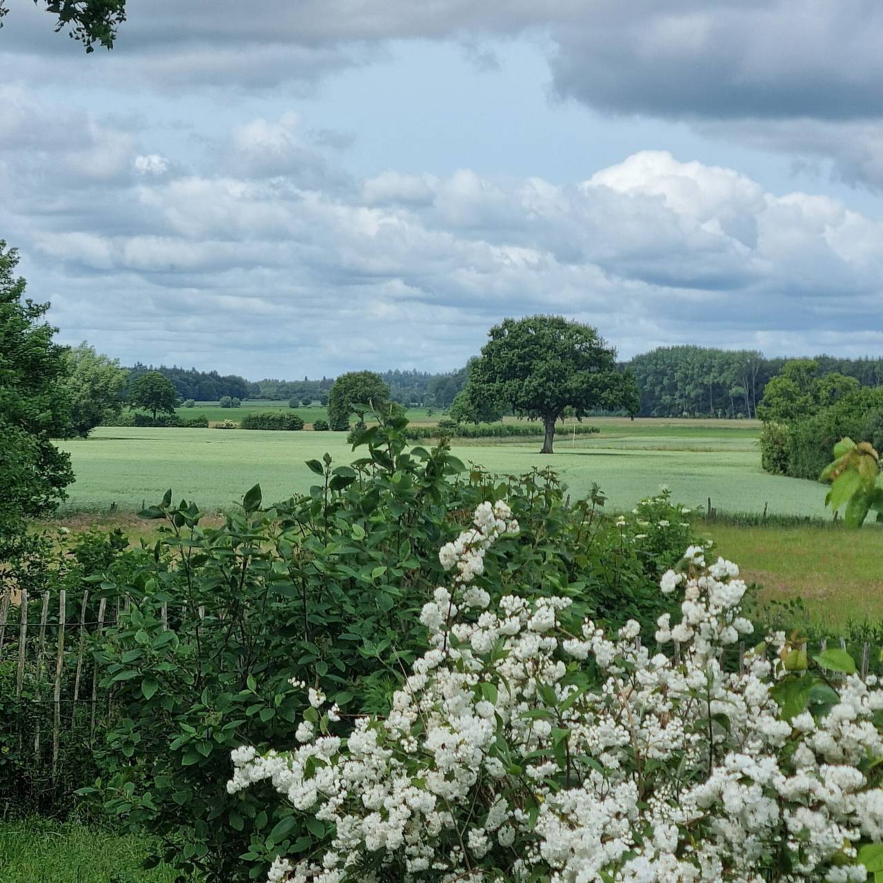 Bel appartement de vacances dans un manoir historique – moments heureux dans la vallée de la Trave in Ahrensbök, Holstein de l'Est