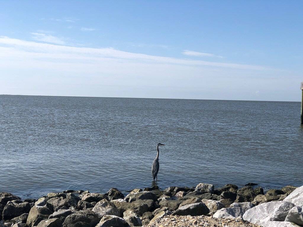 Entspannende Waterfront Getaway in Mississippi Gulf Coast