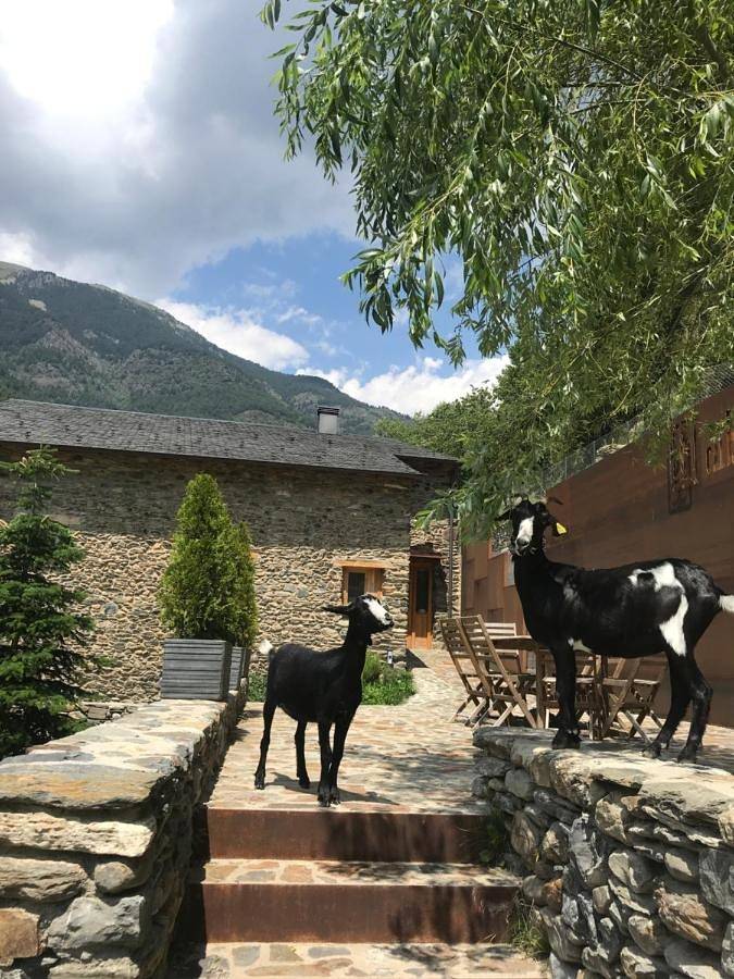 Chalet pour 12 personnes, avec Balcon et Terrasse ainsi que Jardin et Vue en Andorre - 4
