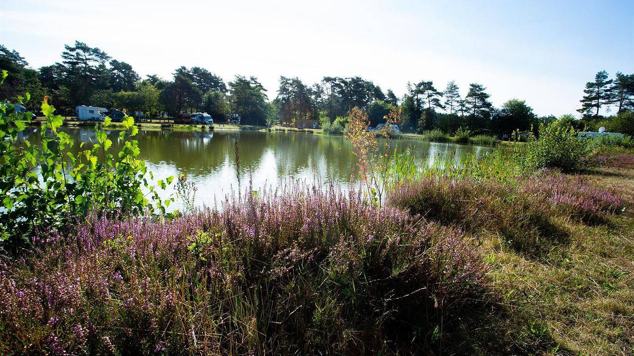 Hütte für 4 Personen in Soltau, Landkreis Heidekreis