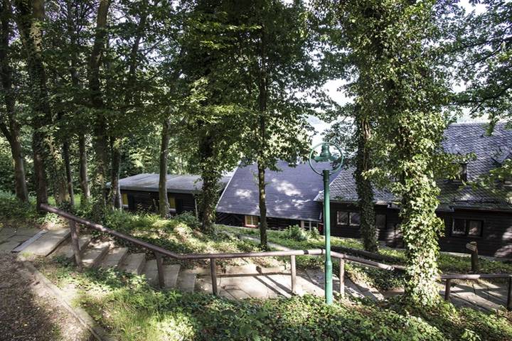 Ferienhaus für 5 Personen, mit Balkon und Terrasse in der Eifel - 4