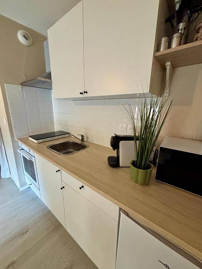 Gîte pour 4 personnes, avec terrasse dans Aeroport Toulouse - Blagnac - 2