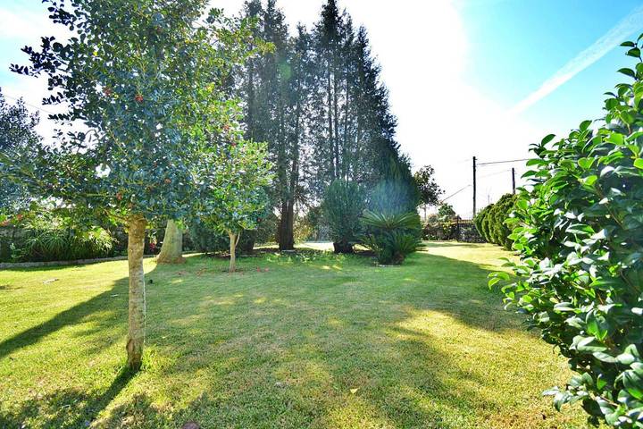 Apartamento de vacaciones para 6 personas, con jardín además de terraza y vistas, Se admiten mascotas - 1