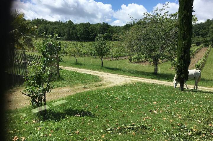 Location de vacances pour 6 personnes, avec terrasse et jardin à Sigoulès