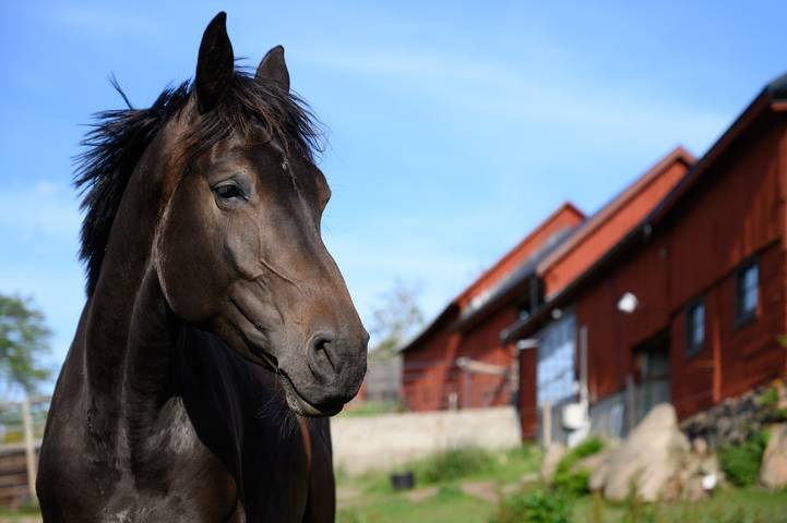 Se05100 in Vena, Hultsfred