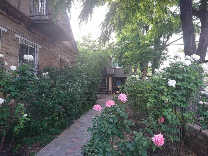 Maison d’hôte pour 4 personnes, avec vue et jardin à Odessa - 4