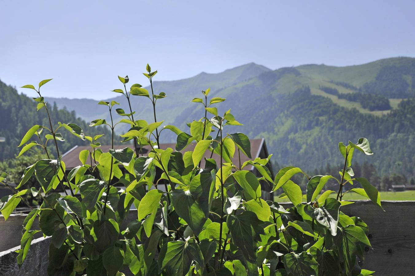 Ganze Ferienwohnung, Christlum in Achenkirch, Brandenberger Alpen