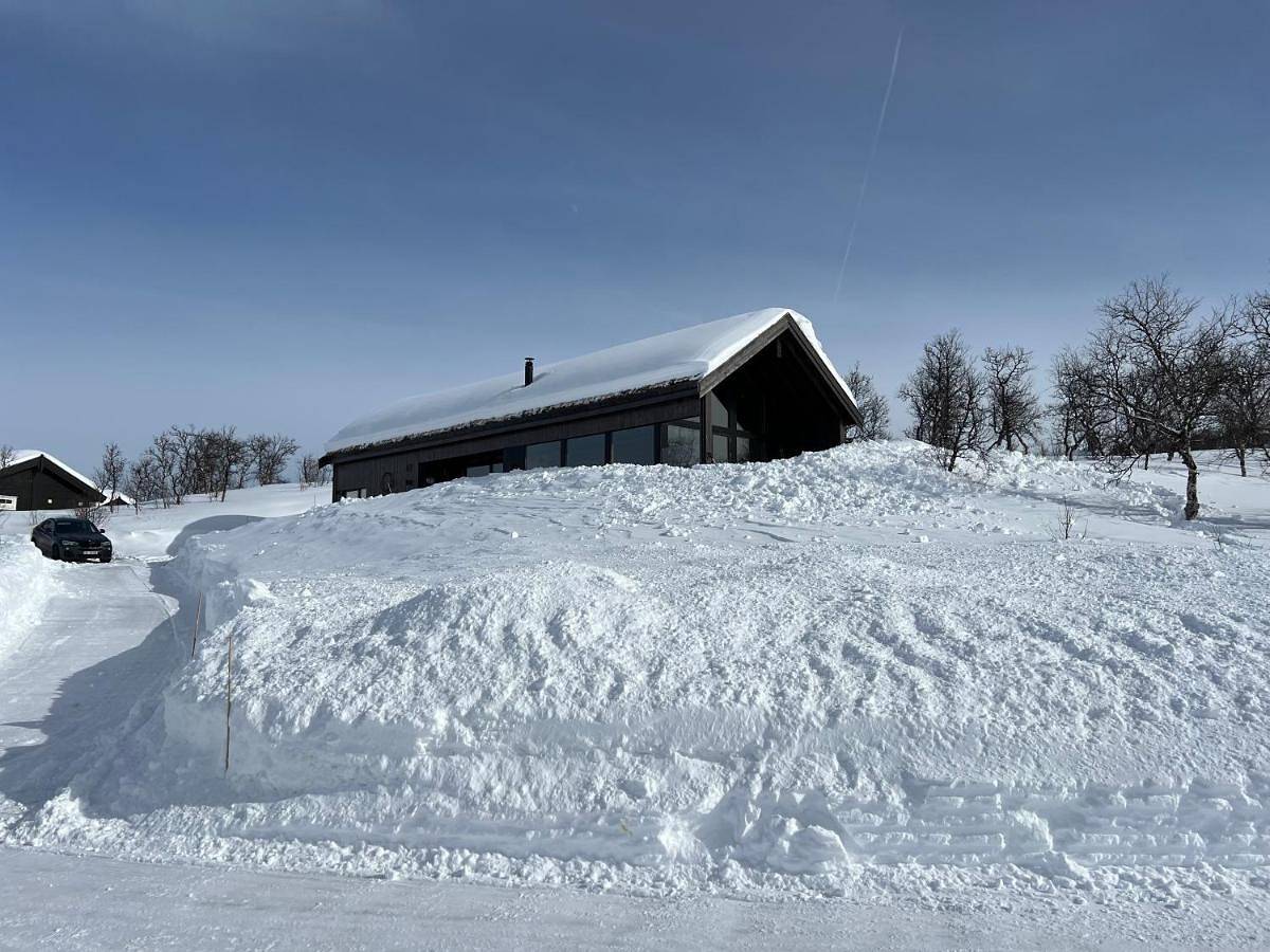Spacious modern family chalet in Solhovda close to hiking, skiing & nature in Geilo, Hol