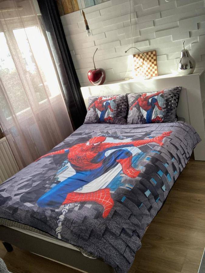 Gîte pour 7 personnes, avec balcon dans Gare Du Val D Europe - 2