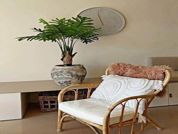 Ferienhaus für 4 Personen, mit Garten in Dirkshorn