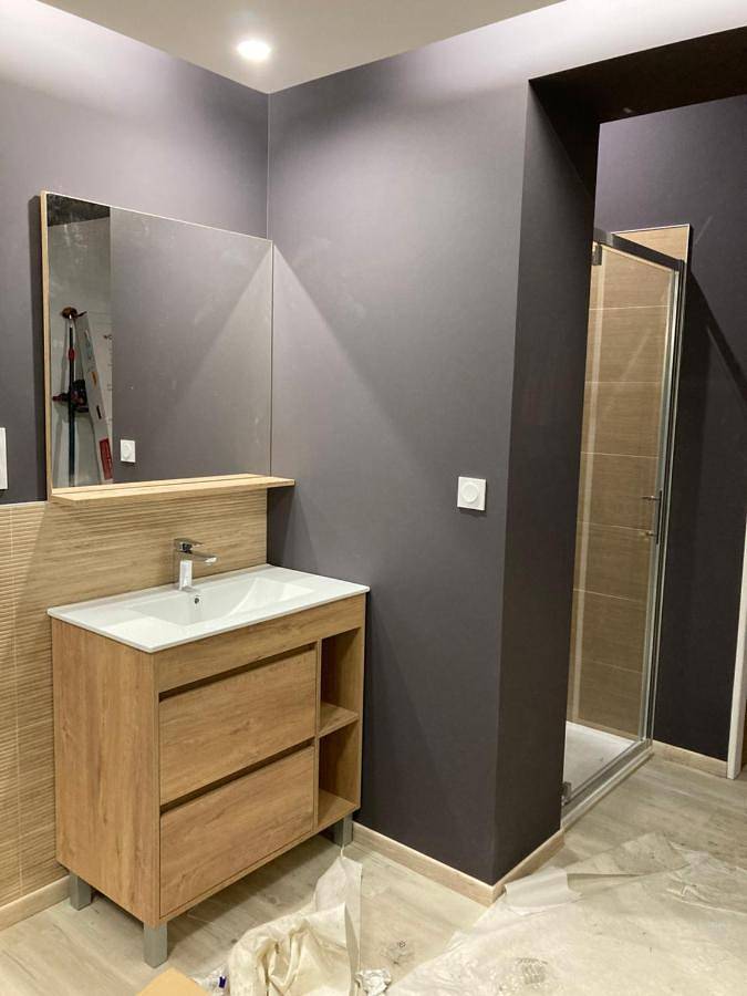 Maison d’hôte pour 4 personnes, avec vue et jardin dans Parc naturel régional Scarpe-Escaut - 4