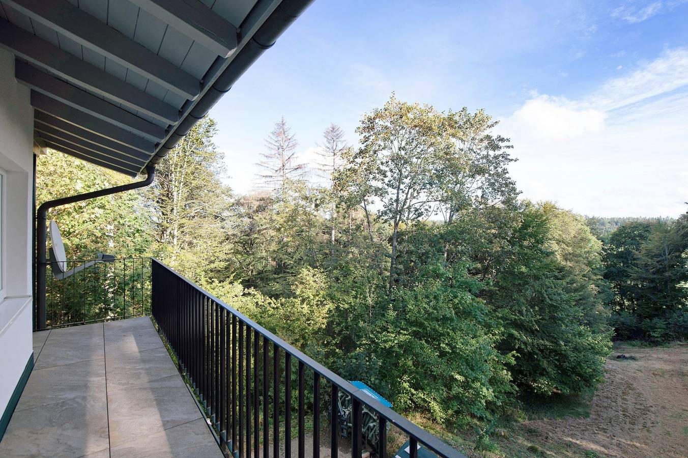Ganze Wohnung, Ferienwohnung Rothirsch, 45 qm, 1 Schlafzimmer, 1 Schlafsofa, max. 4 Personen in Höchenschwand, Südschwarzwald