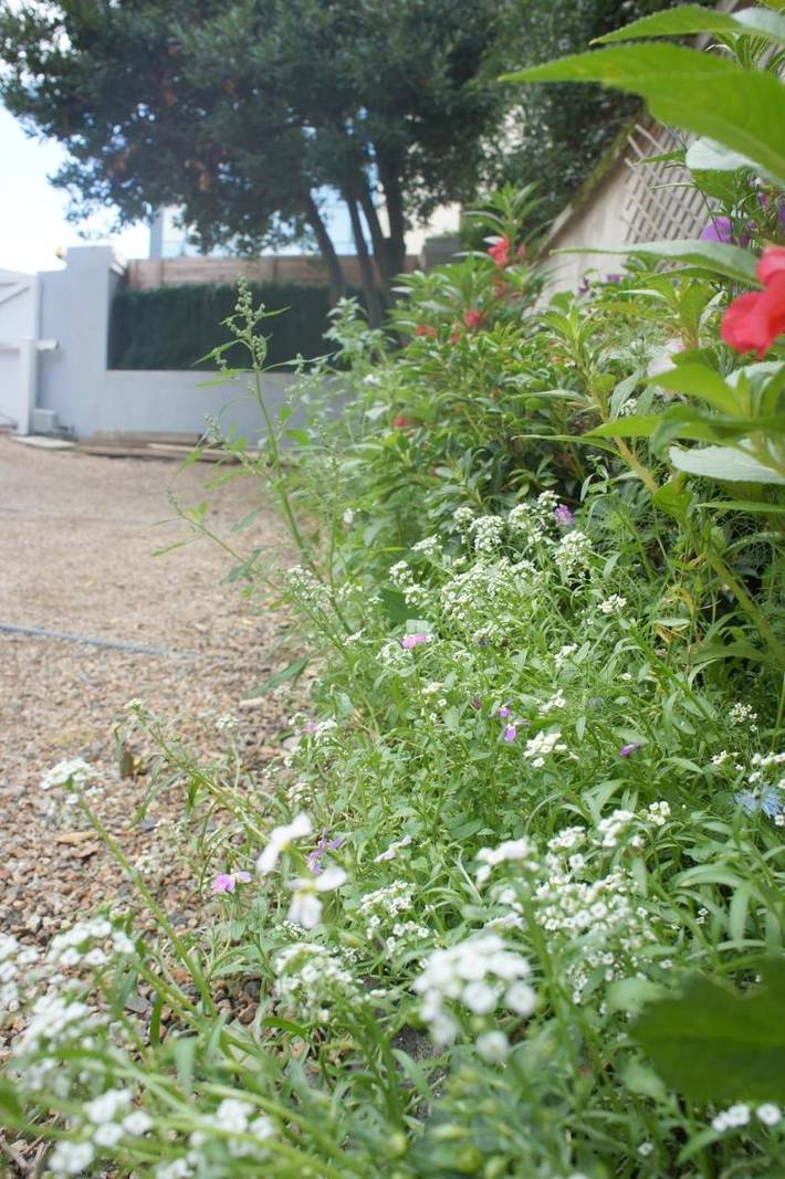 Location de vacances pour 2 personnes, avec terrasse et piscine à Clermont-Ferrand - 3