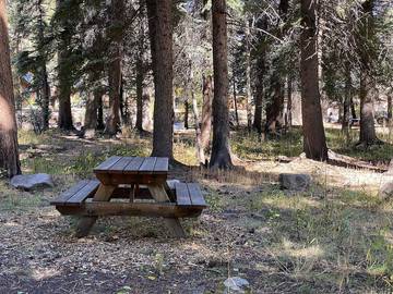 Vacation House for 10 Guests in Rocky Mountain National Park, Colorado, Picture 4