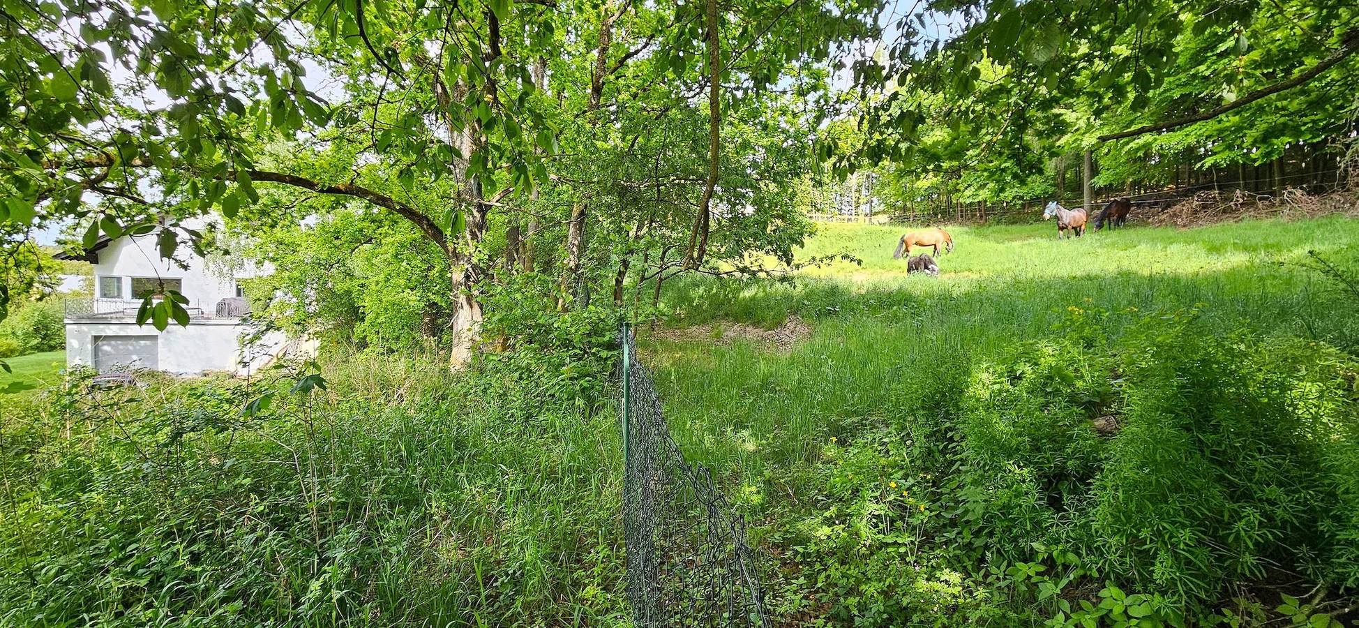 Ferienhaus Panoramablick Altfalter - Modernes Ferienhaus in Alleinlage mit großem Garten und fantastischem Ausblick in Schwarzach b.Nabburg, Naturpark Oberpfälzer Wald