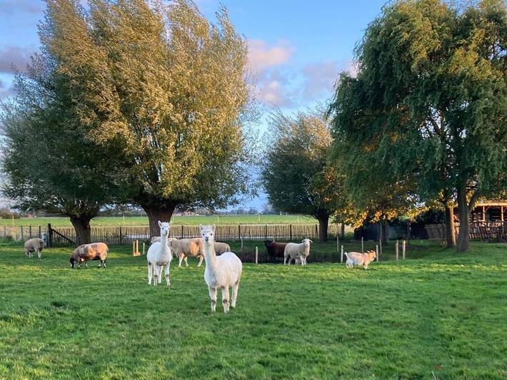 Gîte pour 2 personnes, avec jardin et vue sur le lac ainsi que vue et terrasse dans Westvleteren (bière)