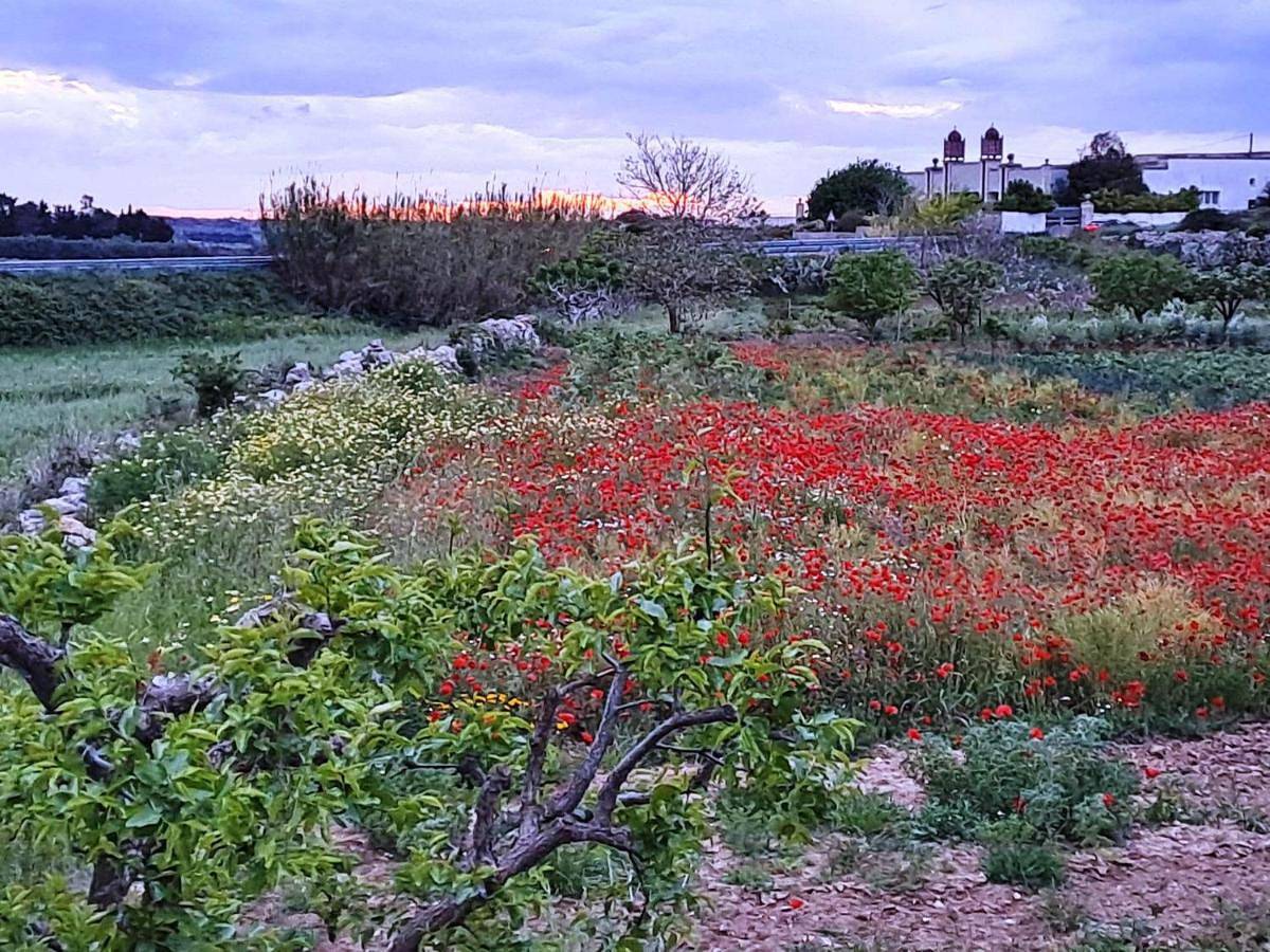 Appartamento intero, Marazur in Poggiardo, Provincia di Lecce