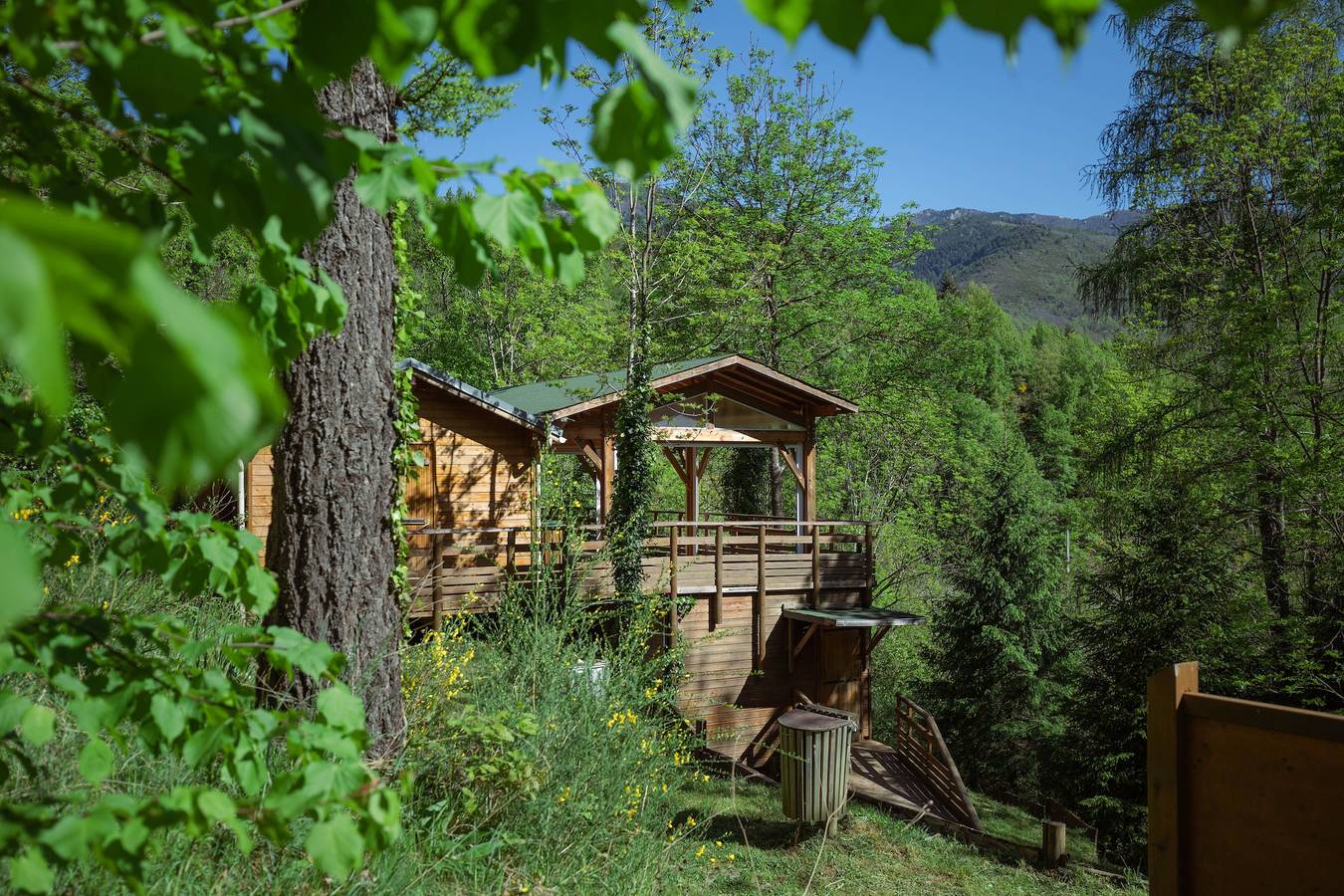 Maison dans les arbres 'Lodge En Pleine Foret Domaniale' (en anglais) in Prats-de-Mollo-la-Preste, Région de Céret