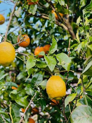 Apartamento de vacaciones para 3 personas, con vistas y balcón en Vizcaya