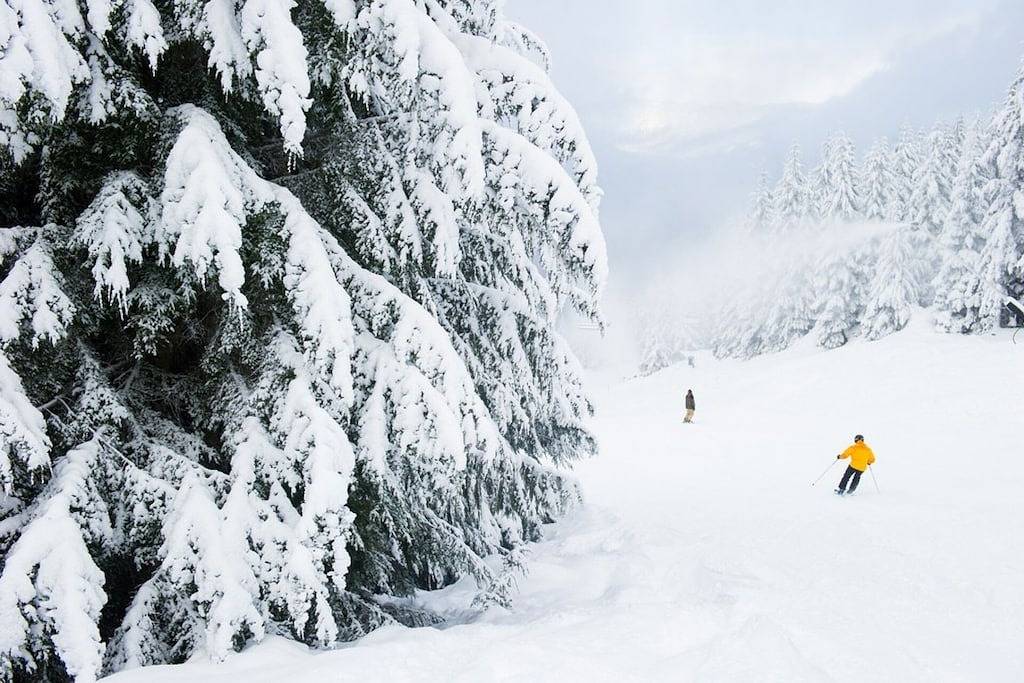 Brandneue Auflistung - Glacier Erreichen Sie Schönheit mit privatem Whirlpool, gegenüber von Village! in Whistler, Whistler Blackcomb