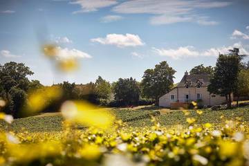 Location de vacances pour 9 personnes, avec jardin à Mercurey
