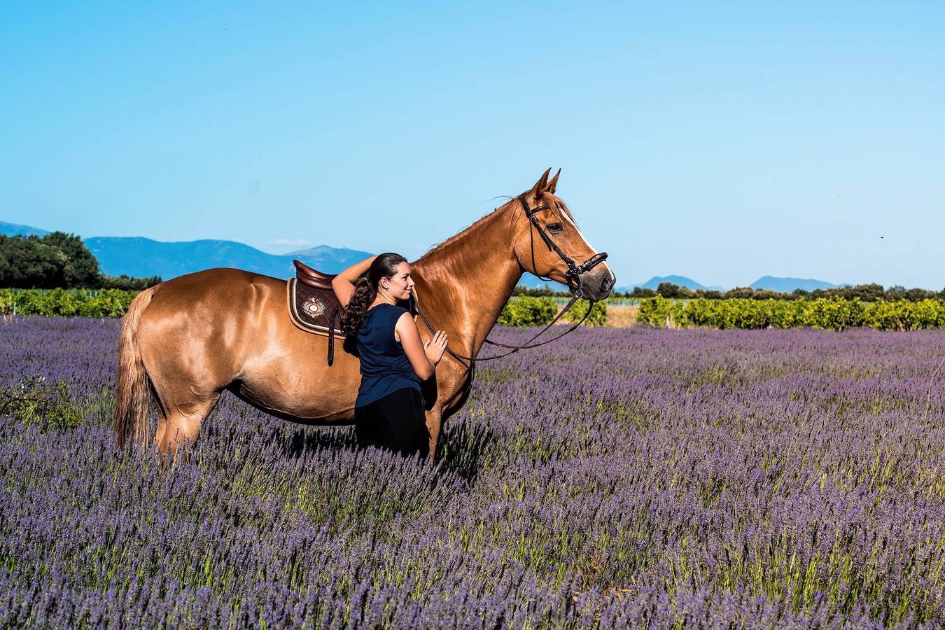 Casa vacacional 'Gîte Du Poney Fringant' con terraza privada, jardín y Wi-Fi in Saint-Paul-Trois-Châteaux, Región de Nyons