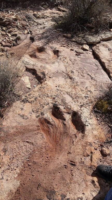 Camping for 5 Guests in Arches National Park, Utah