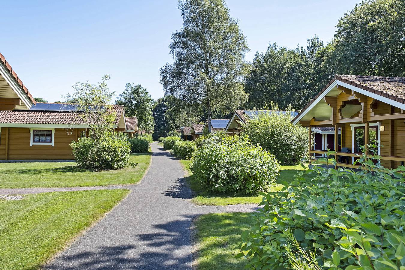 't Hooge Holt — De Kleine Gramsberger Comfort + met sauna | 4 personen in Gramsbergen, Hardenberg