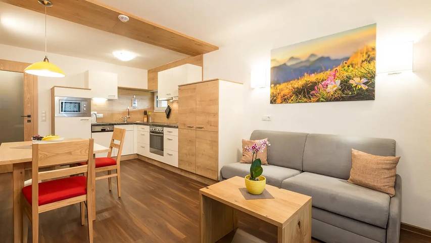 Ferienwohnung für 3 Personen, mit Balkon und Terrasse sowie Garten und Sauna in Ramsau am Dachstein - 4