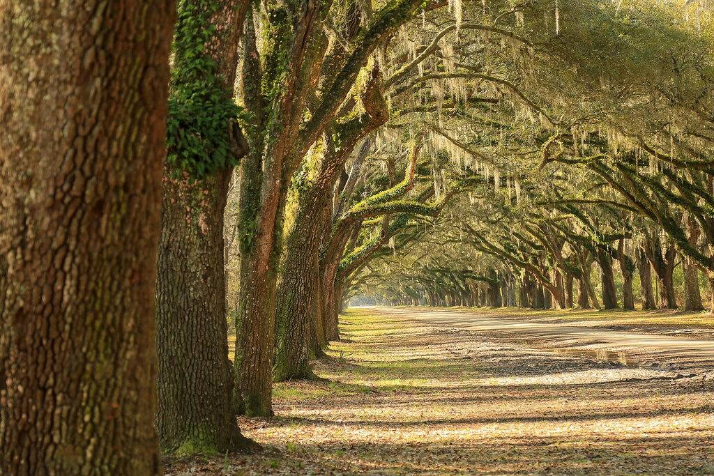 Designer home in Historic District with upscale kitchen in Savannah, Chatham County