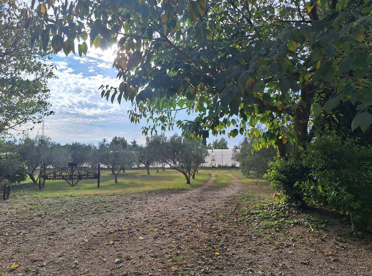 Gite Camargue Alpilles Luna 2/3 pers loc proprio in Arles, Région d'Arles