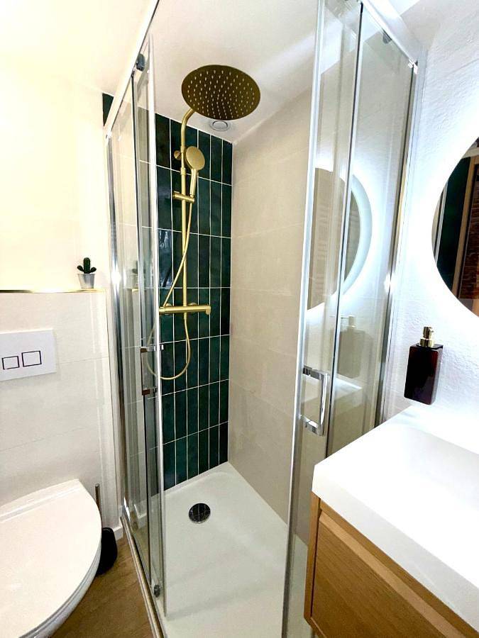 Gîte pour 4 personnes, animaux acceptés dans Gare De Toulouse Matabiau - 4