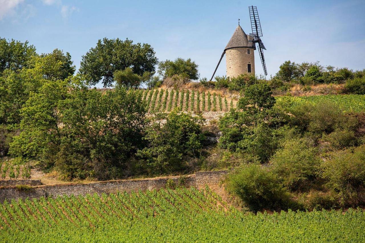 Camping de Santenay - Onlycamp in Santenay, Région de Beaune