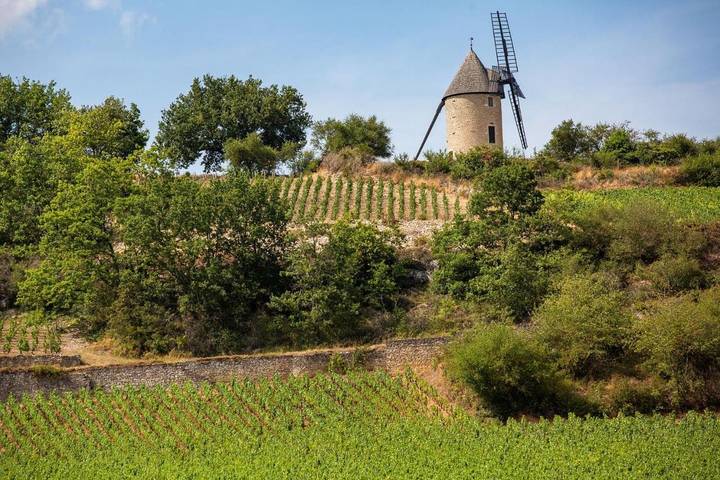 Location de vacances pour 4 personnes, avec jardin ainsi que vue et terrasse, animaux acceptés à Santenay - 2