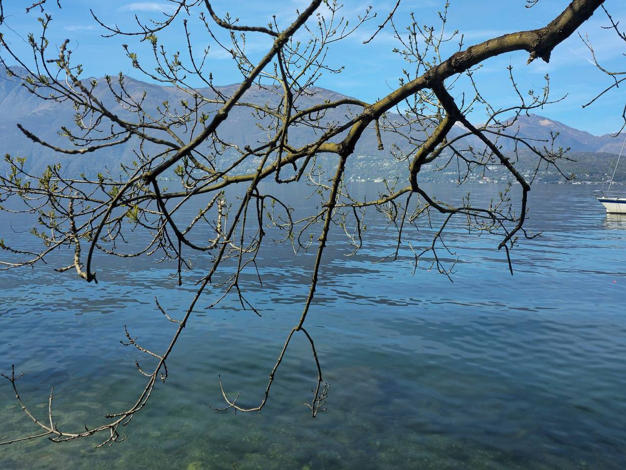 Casa Cappellina: Exklusives Ferienhaus am See mit außergewöhnlichem Ausblick in Gambarogno, Lago Maggiore (Schweiz)