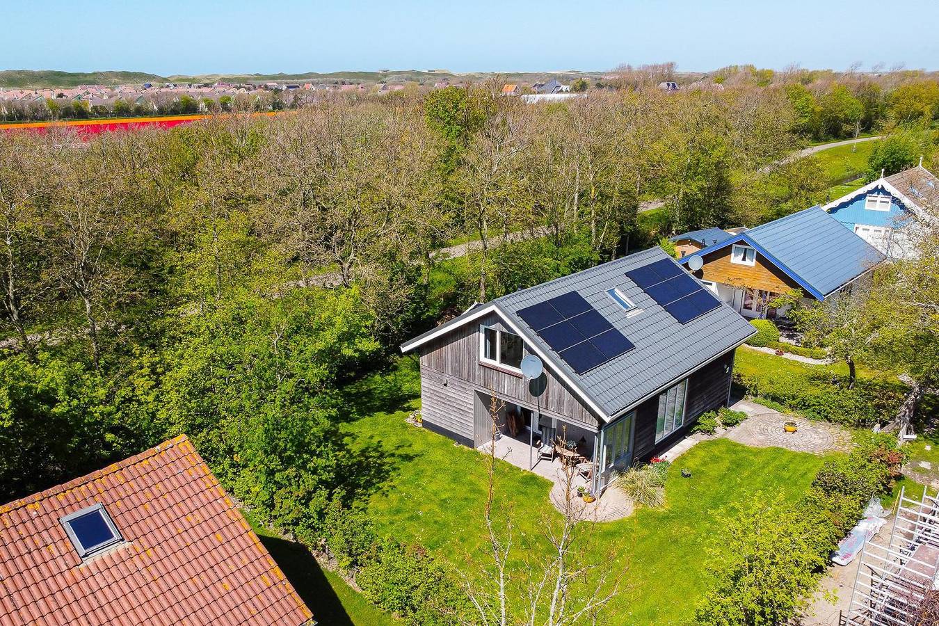 Vrijheid aan de kust — Zeevogel in Julianadorp aan Zee, Julianadorp