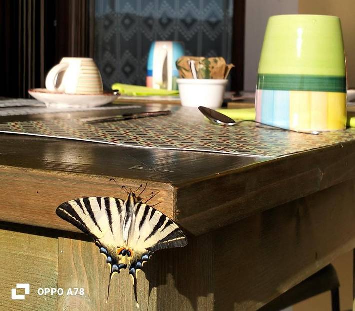 Agriturismo per 4 persone, con panorama e giardino in Terni