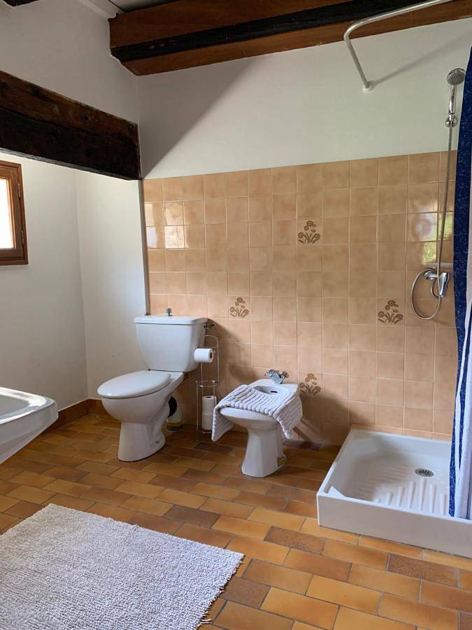 Gîte pour 3 personnes, avec terrasse et vue, animaux acceptés à Saint-Vincent-Rive-d'Olt - 4
