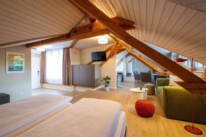 Hôtel pour 4 personnes, avec sauna et terrasse à Schaffhausen - 2