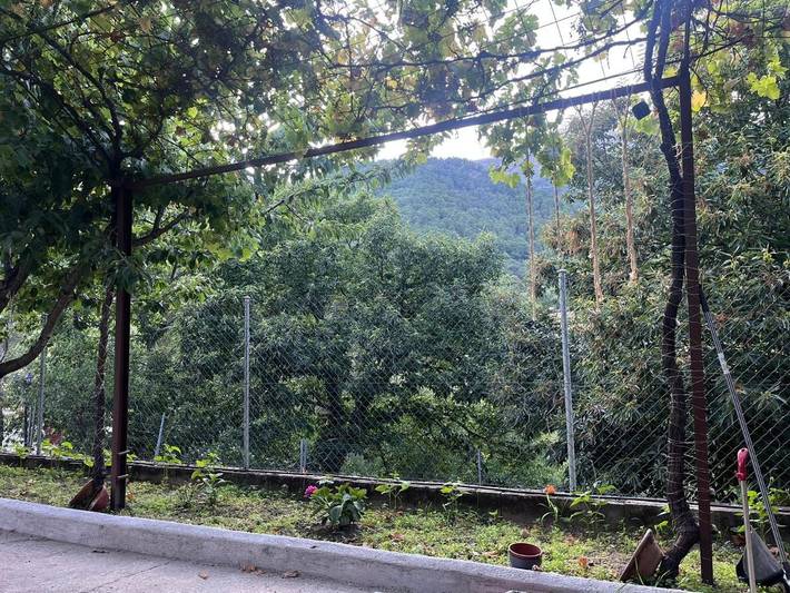 Gîte pour 2 personnes, avec vue et jardin à Mijares - 3