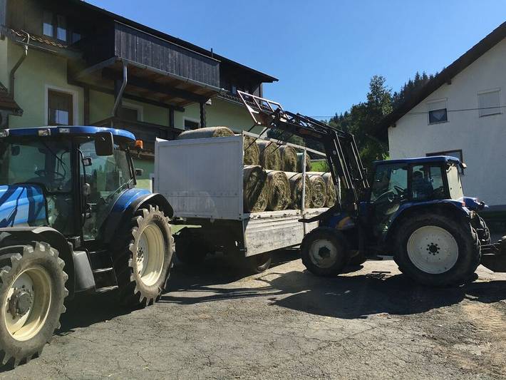 Ferienhaus für 4 Personen, mit Garten und Pool in Schönberg (Bayern) - 4