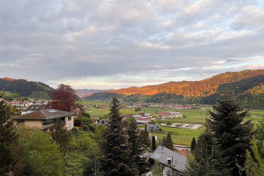 Ganze Wohnung, Graceland in the Black Forest in Fischerbach, Kinzigtal
