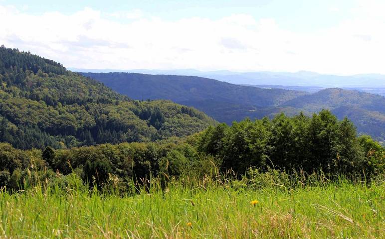 Hôtel pour 3 personnes, avec terrasse à Steinen - 3
